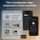 VoiceLedger